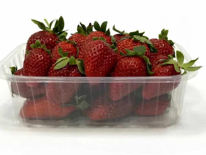 Пластиковая тара для ягод 